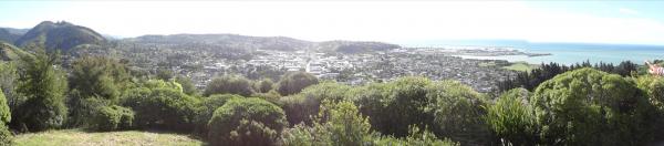 Nelson